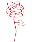 rose_doodle_2
