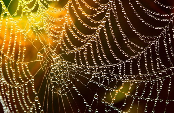 network of lobbies_creativebazaar